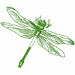 Insectes Embroidery Design 1